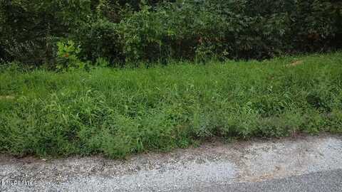 229 Suncrest Cove, La Follette, TN 37766