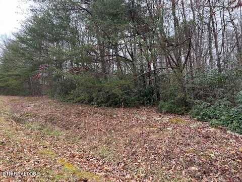 Bussell Drive, Monterey, TN 38574