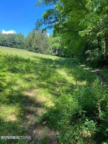 Lot 3 Chapman Rd, La Follette, TN 37766