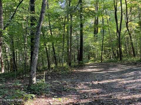 0 Conner Rd, Powell, TN 37849