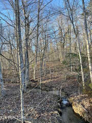 445 St. George Drive, Crossville, TN 38558