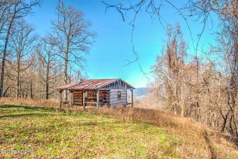 172 Pam Lane, Townsend, TN 37882