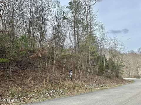 Lot 520 Mystic Star Drive, New Tazewell, TN 37825