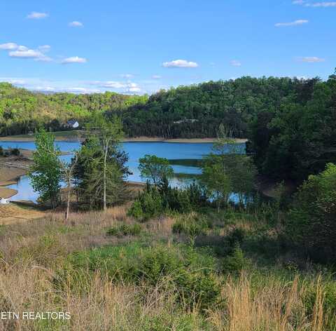 Lot 24 Emerald Pointe Blvd, Dandridge, TN 37725
