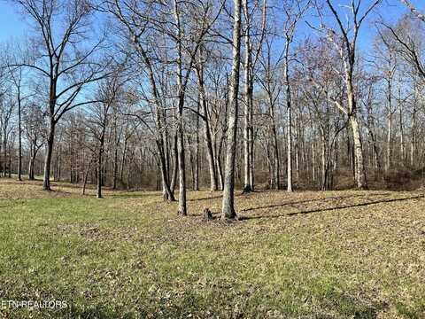 Lot 10 Bluff View Loop, Crossville, TN 38571