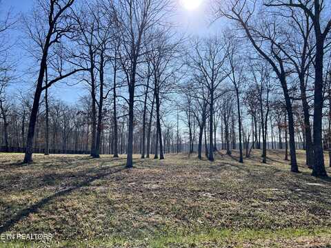 Lot 31 Bluff View Loop, Crossville, TN 38571