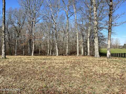 Lot 8 Catoosa Ridge Drive, Crossville, TN 38571