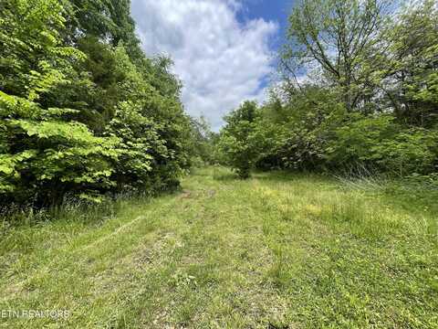 494 Panther Creek Rd, Sevierville, TN 37876