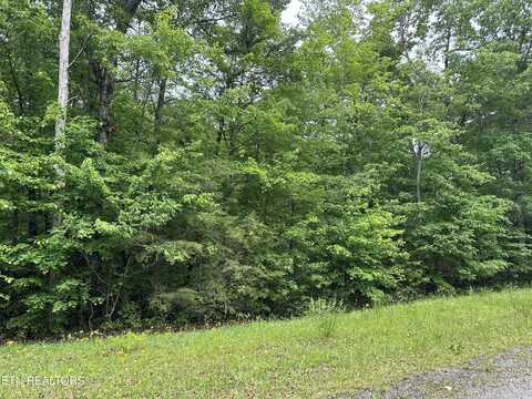 Laurel Loop, Monterey, TN 38574