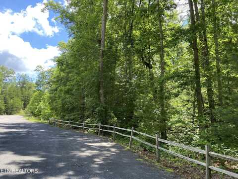 Lot 33w Long Rifle Rd, Walland, TN 37886