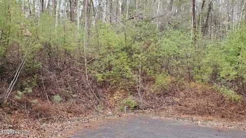 Lot 15 Peace Lane, Sevierville, TN 37876