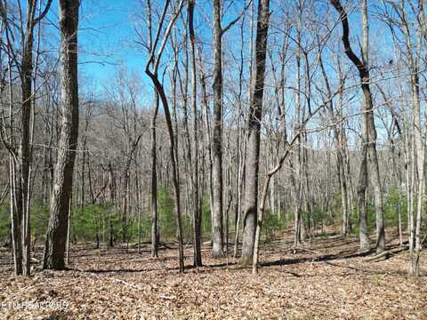 32 Rotherham Court, Crossville, TN 38558