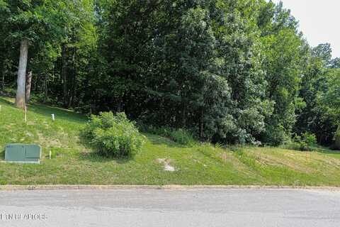 Lot 41-r1 Bobbie Jean Lane, Seymour, TN 37865