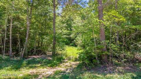 Twin Bridge Rd, Deer Lodge, TN 37726