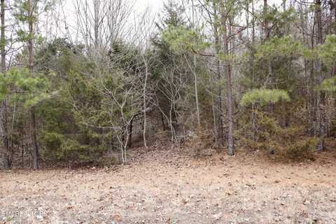 Lot 144 Shiloh Springs, Rutledge, TN 37861