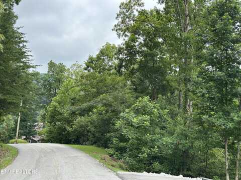 Lots 21&22 Ridge Rd, Caryville, TN 37714