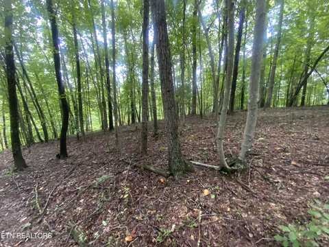 Lot 121 Hiwassee View Drive, Jacksboro, TN 37757