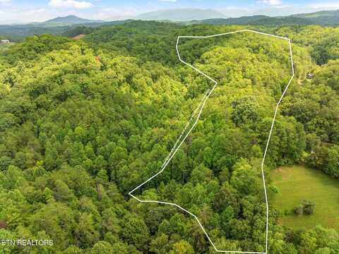 Lot 1 Gnatty Branch Road, Sevierville, TN 37876