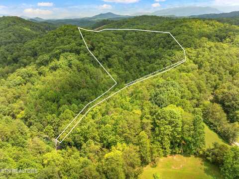 Lot 2 Gnatty Branch Rd, Sevierville, TN 37876