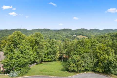 Blossom Lane, Clinton, TN 37716