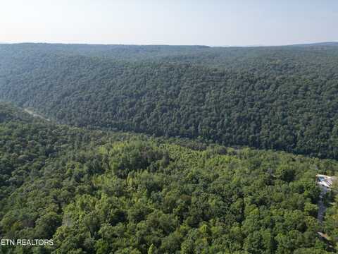 20 Acres Cherokee Trl Rd, Wartburg, TN 37887