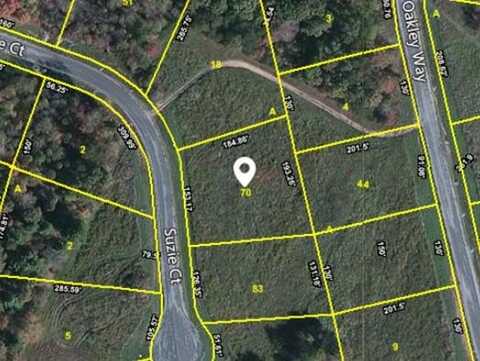 Lot 109 Suzie Court, Crossville, TN 38555