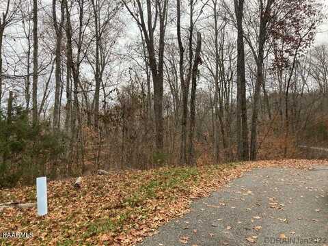 Lot 346 Larayne Hollow Rd, Sharps Chapel, TN 37866