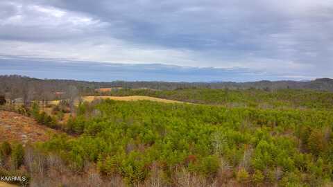 Lot 6 Saffles Lane, Madisonville, TN 37354