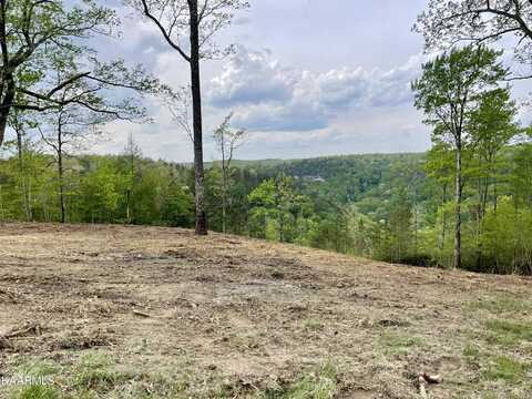 Grandview Way, Jamestown, TN 38556