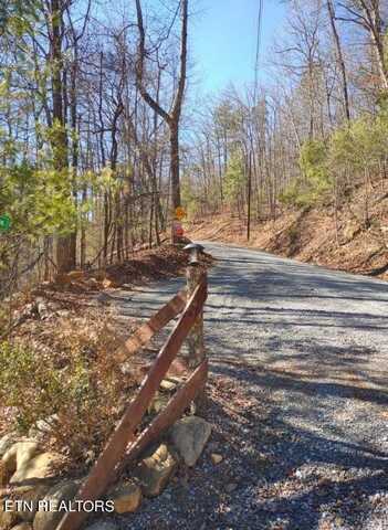 Lot 15 Hickory Tree St, Sevierville, TN 37876