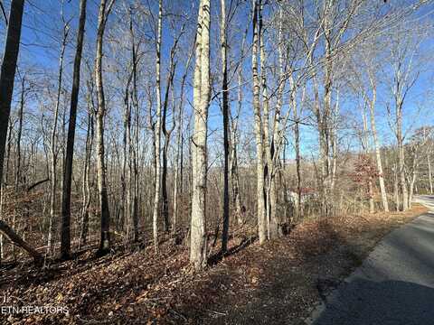 Lot 39 Kays Drive, La Follette, TN 37766