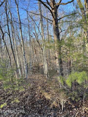 443 St. George Drive, Crossville, TN 38558
