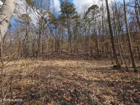 Apache Trail, Lot 28 Rd, Jamestown, TN 38556