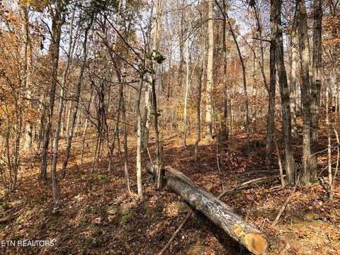 Lot 51 Harbor Lane, La Follette, TN 37766
