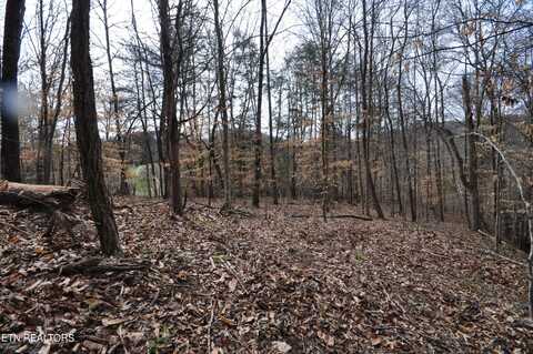 10.02 Acre Old Tazewell Pike, Luttrell, TN 37779