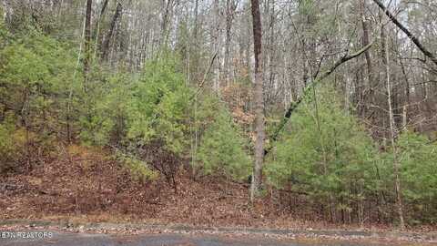 Lot 14 Peace Lane, Sevierville, TN 37876