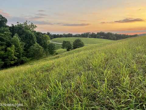 Lot 146 Tanzanite Tr, New Tazewell, TN 37825