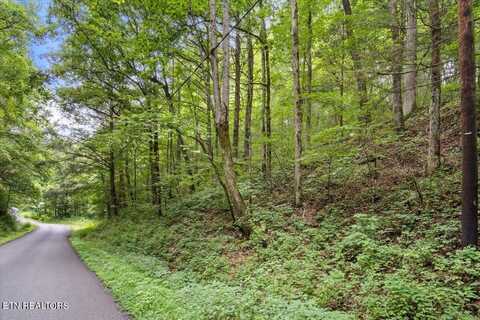 Melvin Hollow Rd, Pioneer, TN 37847