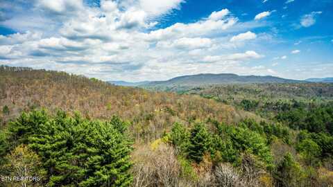 Green Ridge Trails - Lot #7, Harriman, TN 37748