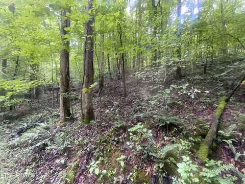 Lot 63 Hiwassee View Drive, Jacksboro, TN 37757