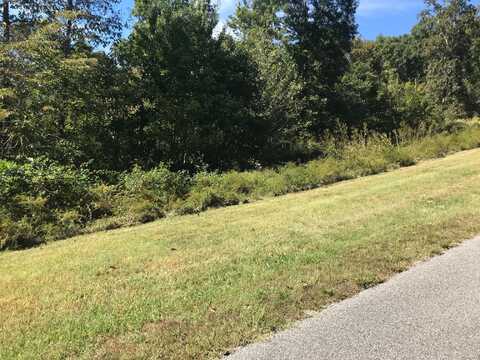 Lot 384 Thief Neck View Drive, Rockwood, TN 37854