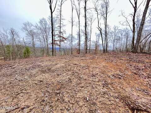 225 Crystal Springs Rd, Rockwood, TN 37854