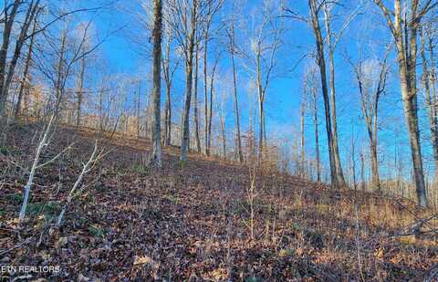 Lot 137 Suncrest Cove, La Follette, TN 37766