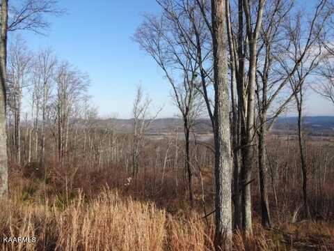 Lot #39 Bayside Blvd, Bean Station, TN 37708