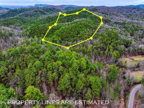 57.09 Acs Rafter Rd, Tellico Plains, TN 37385