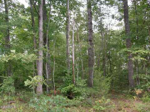 4133 Chica Rd, Crossville, TN 38572