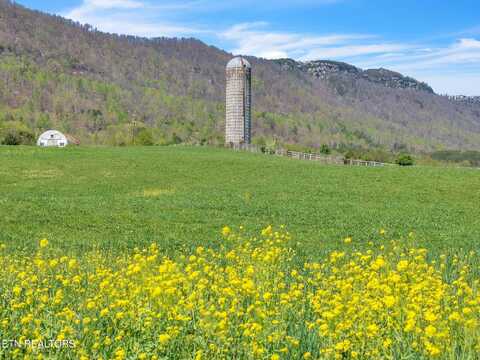 General Carl W Stiner Hwy, La Follette, TN 37766