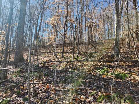 Lot 106 Laurel Way, La Follette, TN 37766