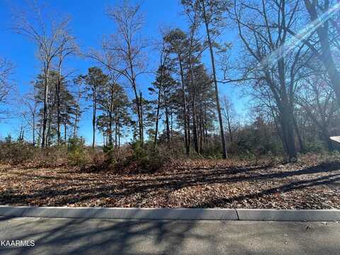 Lot 96 Cow Poke Lane, Rutledge, TN 37861