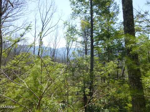 Lot24 & 25 Sonshine Ridge Rd, Cosby, TN 37722